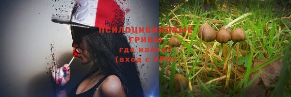 spice Алексеевка