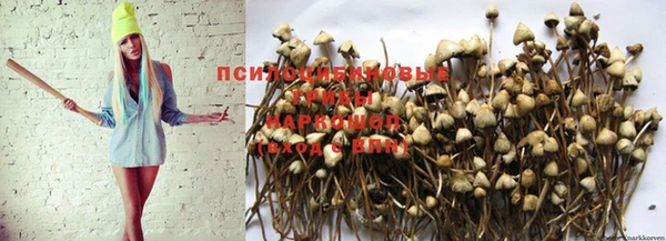 дурь Абдулино